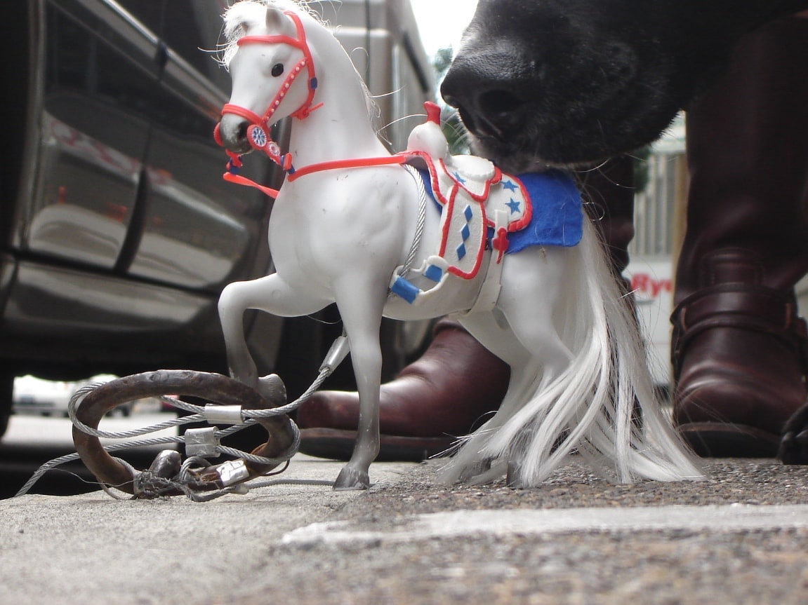 Lookit All The Pretty Horsies